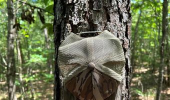 Pleasant Hill Road, Ashland, MS 38603