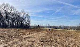 1150 W Main St, Atwood, TN 38220