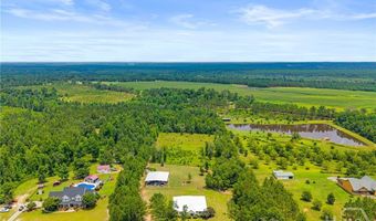 762 Old McLeod Bridge Rd, Adrian, GA 31002
