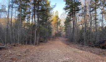 Tbd Spann Road, Batesburg Leesville, SC 29006