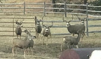 14884 Rist Canyon Rd, Bellvue, CO 80512