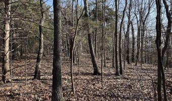 Pecks Drive N, Bergman, AR 72615