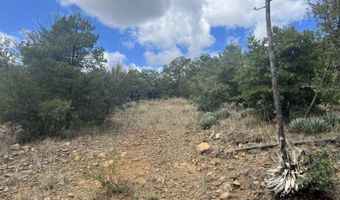 415 XYZ, Arenas Valley, NM 88022