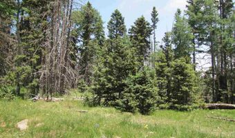 Lot 22 Hinz Drive, Angel Fire, NM 87710
