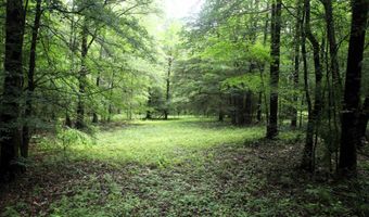 000 AVE 5 SW St, Atkins, AR 72823