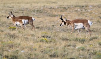 Sheep Mountain Road, Centennial, WY 82070