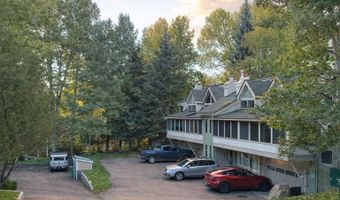409 Park Cir 2, Aspen, CO 81611
