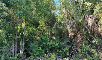 235 11th St, Apalachicola, FL 32320