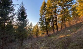 400 GROVER DRY FARM Rd, Afton, WY 83110