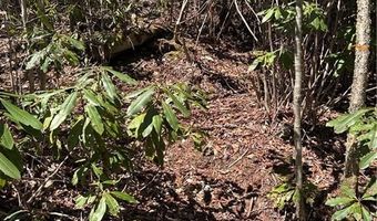 Tract 3 Mountain Vista Lane, Banner Elk, NC 28604