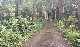 772 Nahiku Rd, Hana, HI 96713