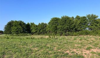 Tbd County Road 335, Anson, TX 79501