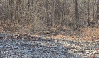 River Oak drive lot 7, Big Sandy, TN 28320