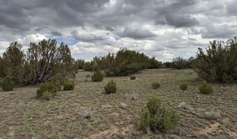 214 CR 8051, Concho, AZ 85924