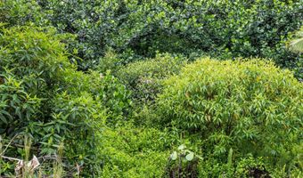 PARADISE DR, Keaau, HI 96749