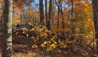 Tbd Larkspur Trail, Banner Elk, NC 28604