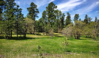 336 Middle Fork Rd, Devils Tower, WY 82714