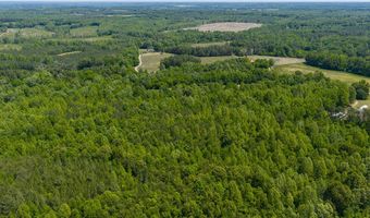 1239 Pointer Rd, Alton, VA 24520