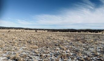 98- C Ten Tanks Rd, Ash Fork, AZ 86320