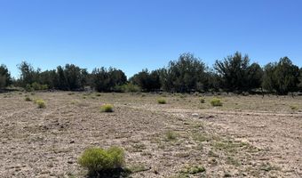 18 A Warren Run Rd, Ash Fork, AZ 86320