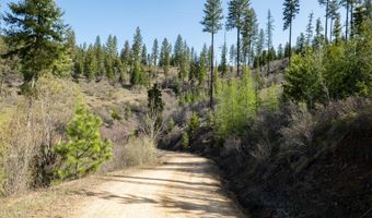 NKA 262 Ac N Side Rd, Calder, ID 83808