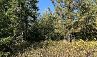 Tract 3 USFS 2294, Clark Fork, ID 83811