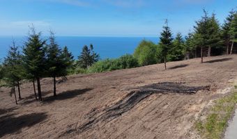 McVay Creek Rd TL310, Brookings, OR 97415