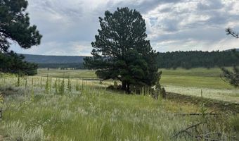 Whymans Black Lake Estates lot 39, Angel Fire, NM 87710