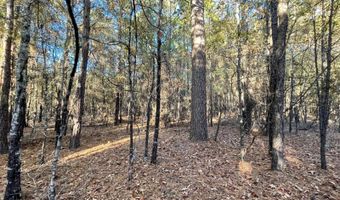 0 E 1912 Rd, Antlers, OK 74523