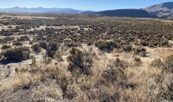 Ryndon, Elko, NV 89801