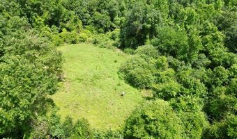 County Road 127, Banks, AL 36005