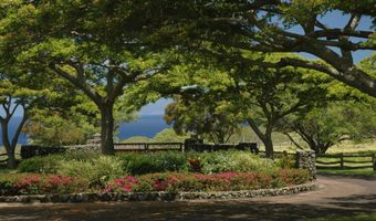 56-175 PUALANI Rd, Hawi, HI 96719