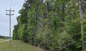 U.S. 49, Brooklyn, MS 39425
