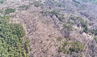 Tall Pines Road, Ashland, MS 38603