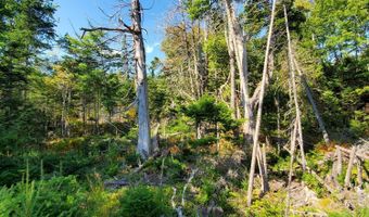 W McMann & Porcupine Hill Road lot 3, Addison, ME 04606