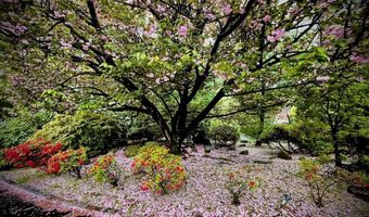 46 Overlook Rd, Alpine, NJ 07620