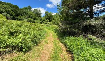 2613 Murphy Hill Rd, Andes, NY 13731
