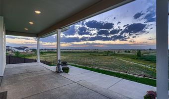 2867 Marsh Hawk Way, Brighton, CO 80601