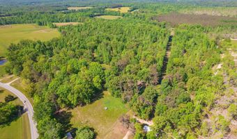 9402 Brooksie Thompson Rd, Bath Springs, TN 38311