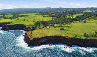 55-194 ULI Rd, Hawi, HI 96719