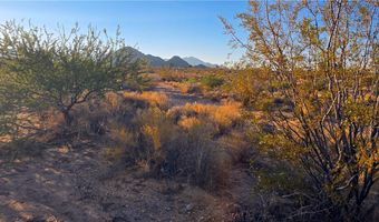 6 E Allison Dr, Yucca, AZ 86438
