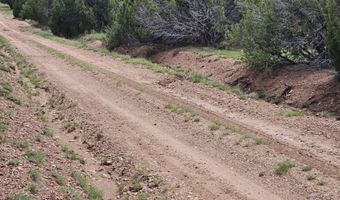 Birdwing Lane, Clay Springs, AZ 85923