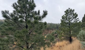 Stable Road lot 10A, Alto, NM 88312