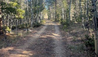 399 N Skinner Rd, Allenspark, CO 80510