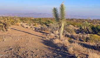 6 E Allison Dr, Yucca, AZ 86438