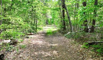 UC001 Grandmas Hill Road, Amherst, VA 24521