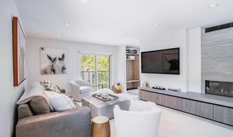 210 E Cooper Ave 3G, Aspen, CO 81611