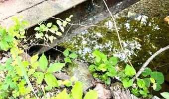 Coperas Cave Branch, Beattyville, KY 41311