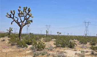 10 Beaver Avenue Acres, Adelanto, CA 92301