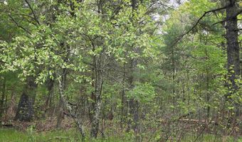 S Badger Lane lot 38, Arkdale, WI 54613